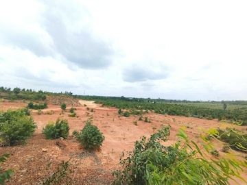 Plot Area in  Industrial Plot at Narasapura – for Sale