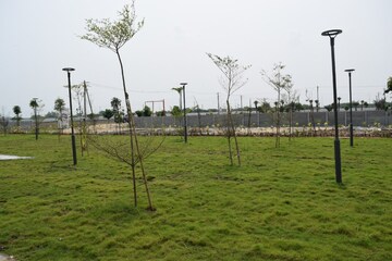  Plot For Sale in Renigunta
