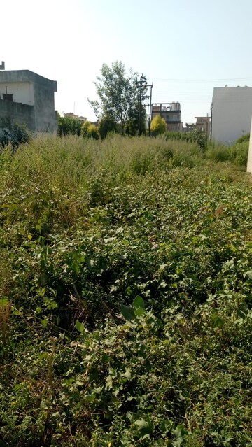  Plot – Garden View at Indian Institute Of Technology Roorkee - for Sale