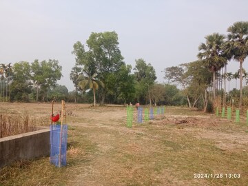 Plot Area in  Plot at Southern Park, Baruipur – for Sale
