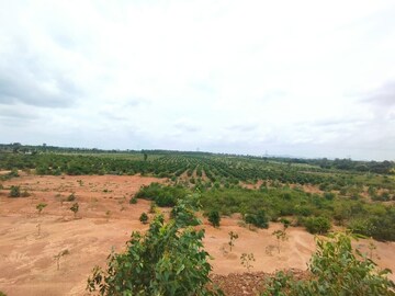 Plot For Sale in Jeevan Sagar Township, Bagepalli