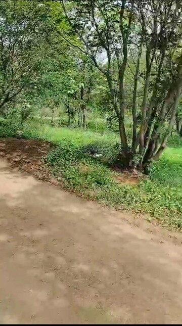  Plot For Sale in Jalpally