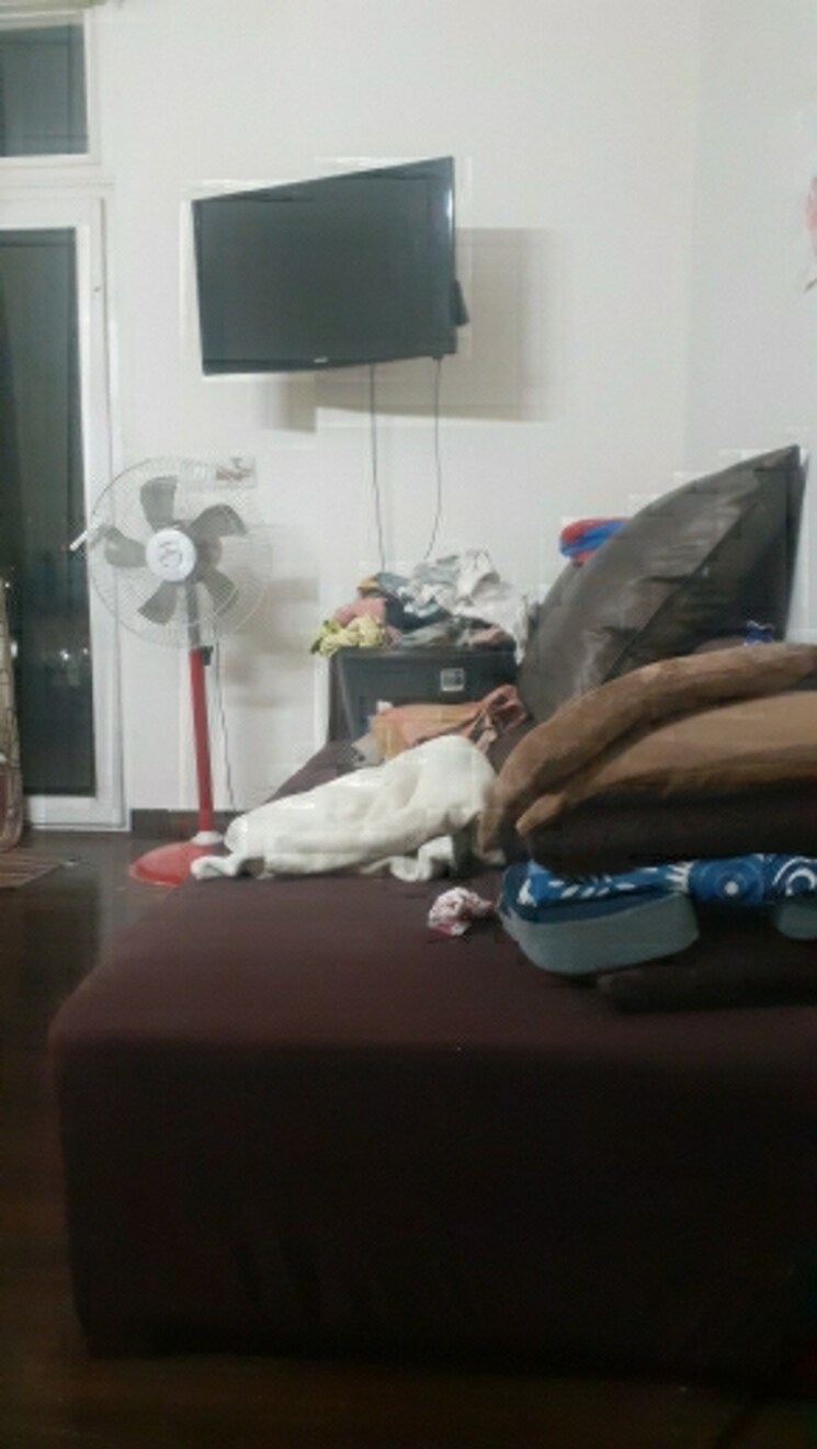 Living Room, sector 16c greater noida 3 Bedroom 1235 Sq.Ft. Apartment In Sector 16c Greater Noida Greater Noida 7977202