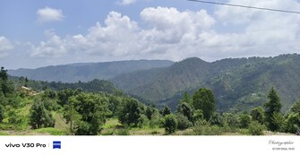 Plot For Resale in Mukteshwar Nainital  7977406