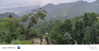 Plot For Resale in Mukteshwar Nainital  7977406