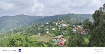 Plot For Resale in Mukteshwar Nainital  7977430