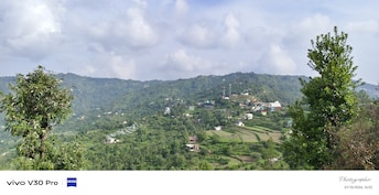 Plot For Resale in Mukteshwar Nainital  7977469