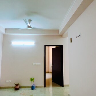 2 BHK Apartment For Rent in Amrapali Golf Homes Haibatpur Greater Noida  7978238