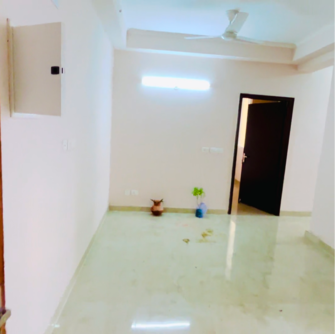 2 BHK Apartment For Rent in Amrapali Golf Homes Haibatpur Greater Noida  7978238