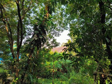 2 BHK Apartment – Garden View at Juhu - for Rent