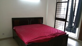 3 BHK Apartment For Resale in Vasant Kunj Delhi  7978510