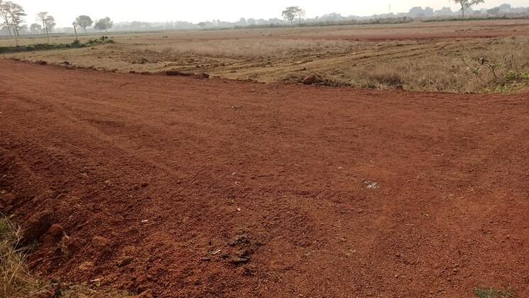 undefined, sejbahar  1000 Sq.Ft. Plot In Sejbahar Raipur 7978541