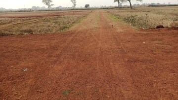 Plot Area in  Plot at Sejbahar – for Sale