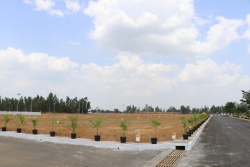 Plot Area in  Plot at Thirumazhisai – for Sale
