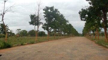  Land – Exterior View View at Ivc Road - for Sale
