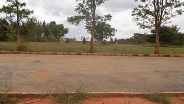  Land – Exterior View View at Ivc Road - for Sale