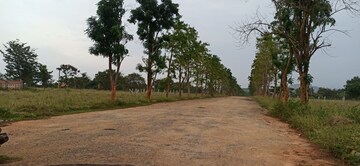  Land – Exterior View View at Ivc Road - for Sale