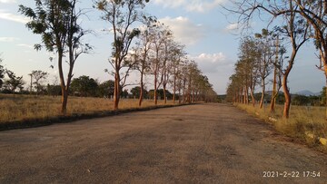  Land – Exterior View View at Ivc Road - for Sale