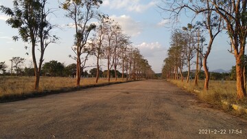  Land – Exterior View View at Ivc Road - for Sale