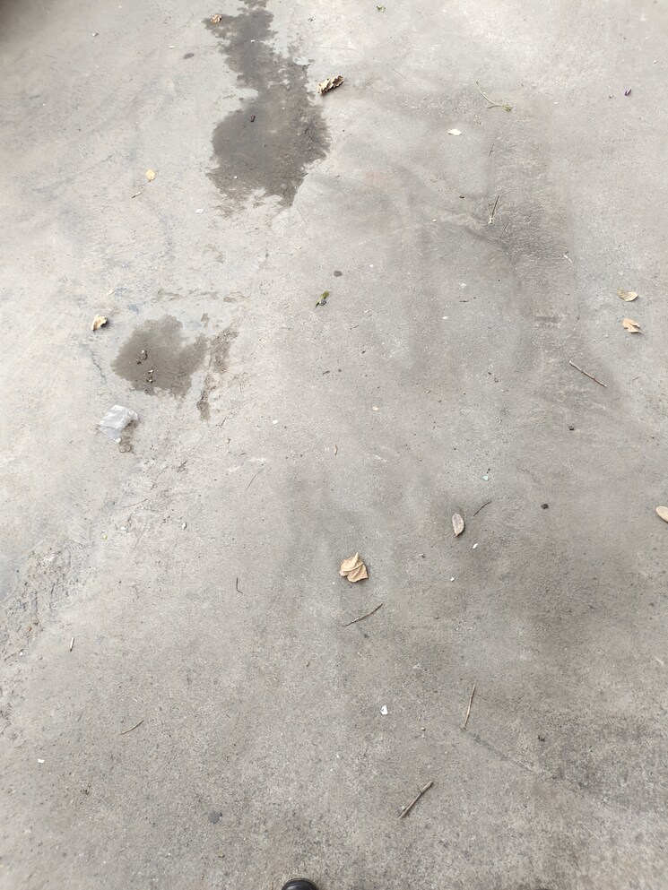 Floor Plan, greater kailash i Commercial Showroom 2000 Sq.Ft. In Greater Kailash I Delhi 7978749