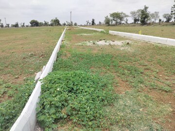 Plot Area in  Plot at Kodangal – for Sale