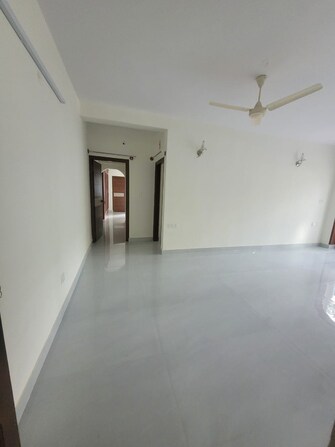 2 BHK Apartment For Rent in Golf Links Vasanth Nagar Bangalore  7979096