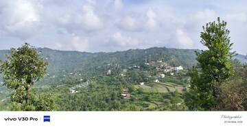 Plot For Resale in Mukteshwar Nainital  7979302