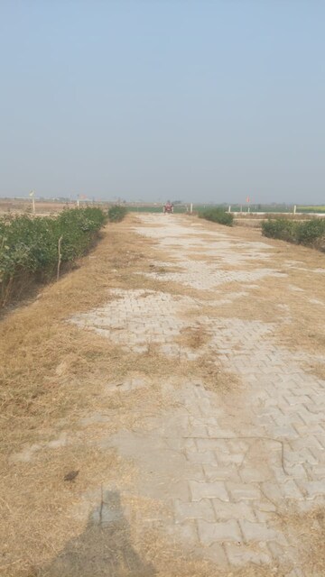  Plot For Sale in Jewar