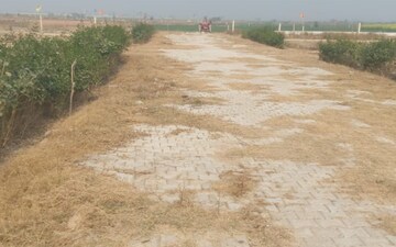 Plot For Sale in Jewar