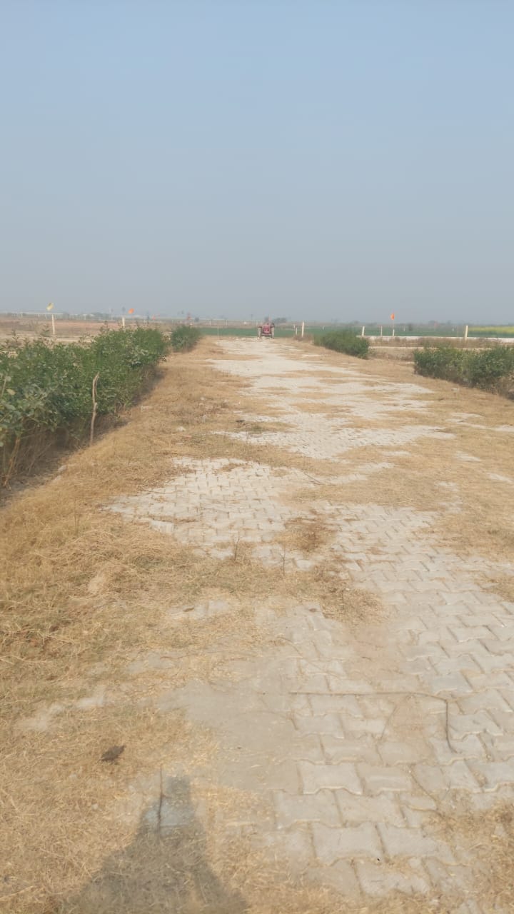 Plot For Sale in Sharma Property Jewar Gre