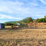 5000 Sq.Yd. Plot in Kawir