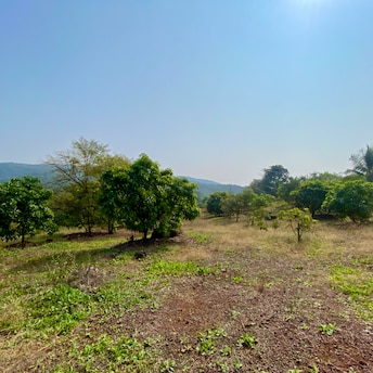 Plot For Resale in Shirdhon Raigad  7979379