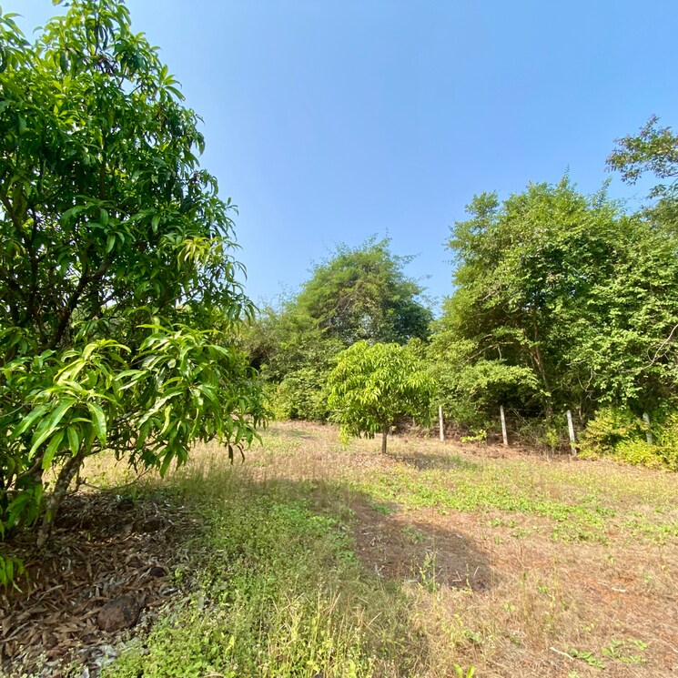 undefined, shirdhon  2000 Sq.Ft. Plot In Shirdhon Raigad 7979379