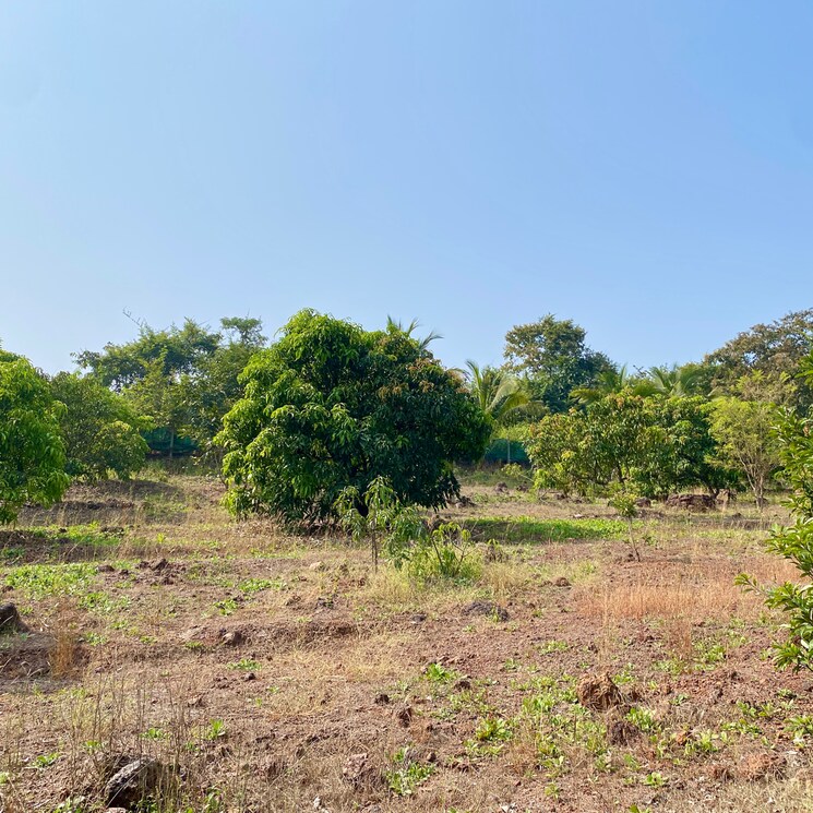 undefined, shirdhon  2000 Sq.Ft. Plot In Shirdhon Raigad 7979379