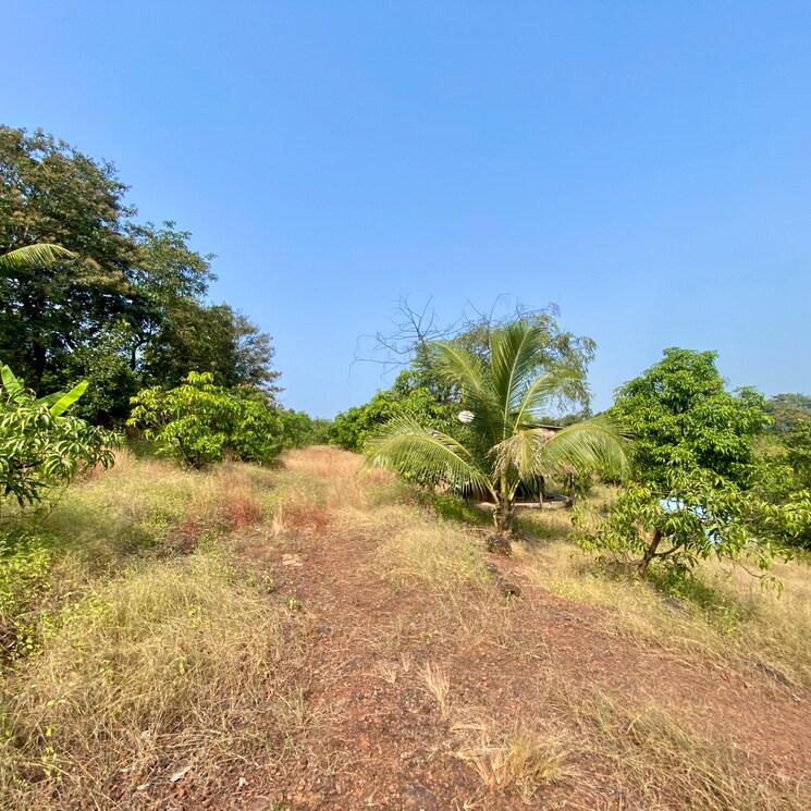 undefined, shirdhon  2000 Sq.Ft. Plot In Shirdhon Raigad 7979379