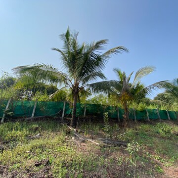  Plot – Exterior View View at Shirdhon - for Sale