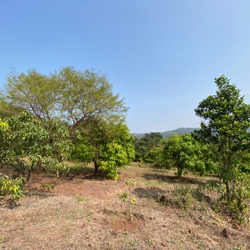 Plot Area in  Plot at Shirdhon – for Sale