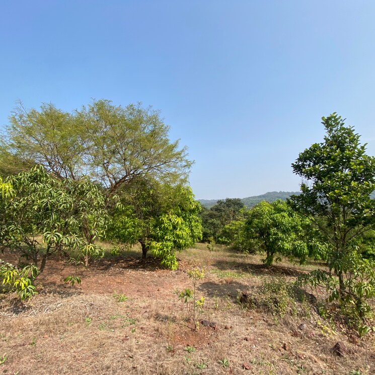 undefined, shirdhon  2000 Sq.Ft. Plot In Shirdhon Raigad 7979379