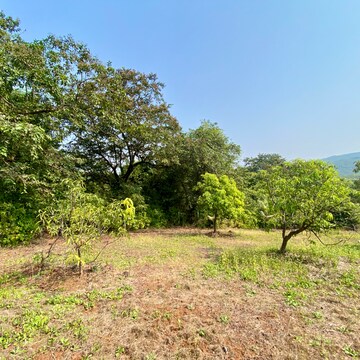Plot Area in  Plot at Shirdhon – for Sale