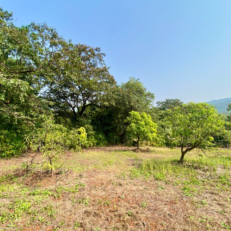 undefined, shirdhon  2000 Sq.Ft. Plot In Shirdhon Raigad 7979379