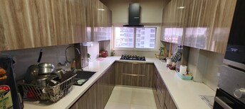 2 BHK Apartment For Resale in Pink and Blue Dhruv Apartment Sector 46 Faridabad  7979451