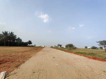 Plot Area in  Plot at Palladam – for Sale