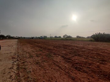 Plot Area in  Plot at Palladam – for Sale