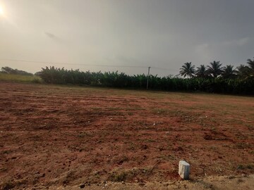 Plot Area in  Plot at Palladam – for Sale