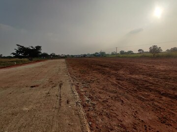 Plot Area in  Plot at Palladam – for Sale