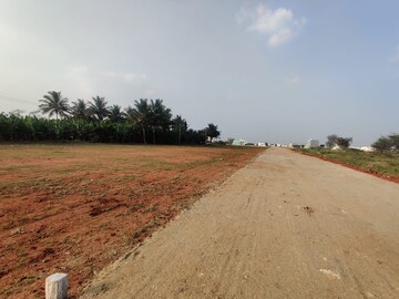  Plot For Sale in Palladam
