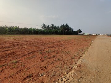 Plot Area in  Plot at Palladam – for Sale