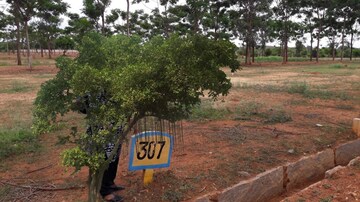 Plot Area in  Plot at Nelamangala – for Sale