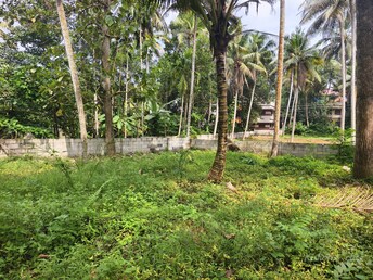 Plot For Resale in Vettamukku Thiruvananthapuram  7979772