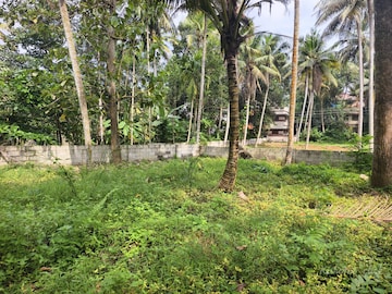 Plot For Resale in Vettamukku Thiruvananthapuram  7979772